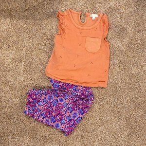 Baby Girl Pant and Top Set